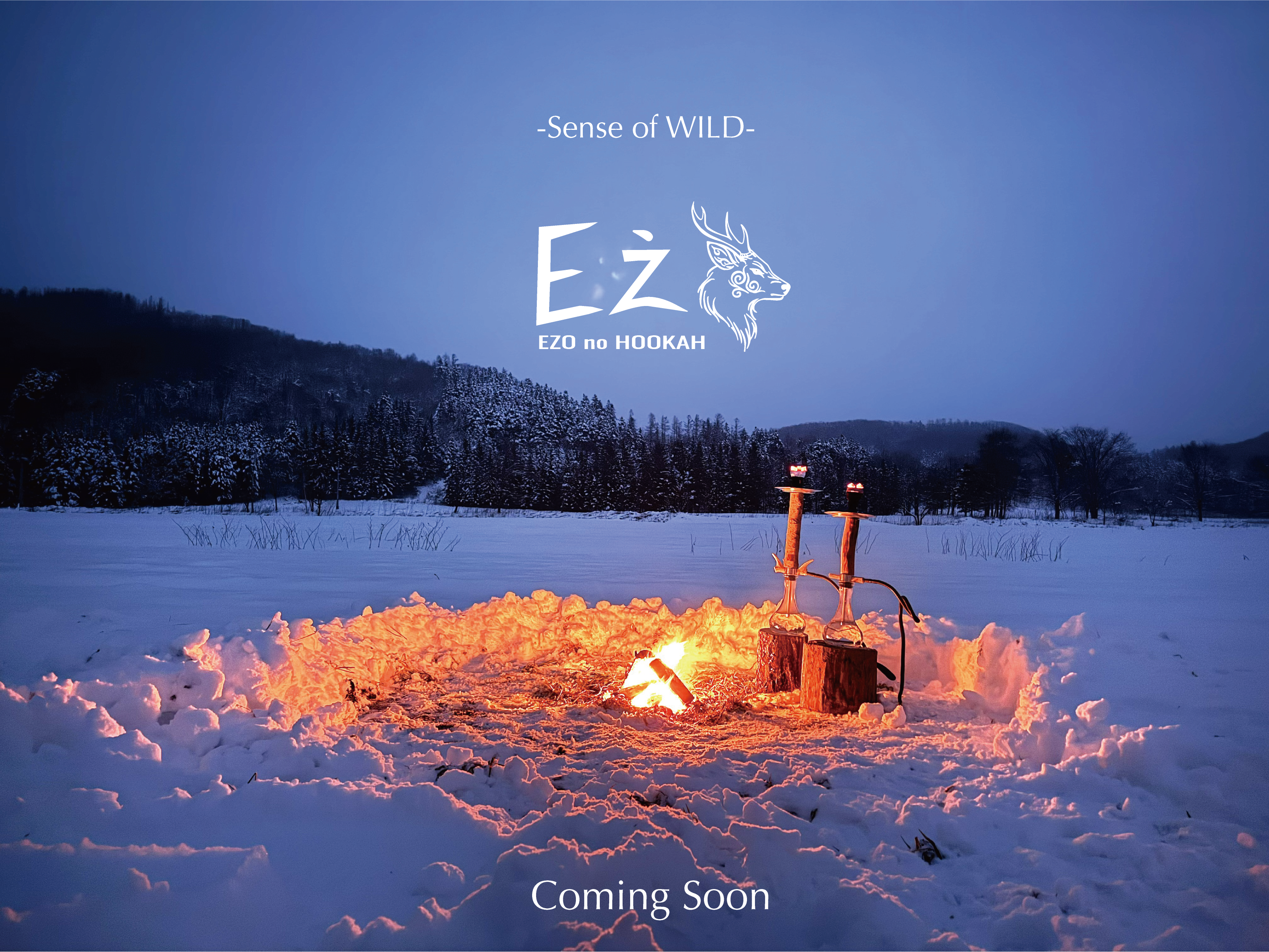 Coming Soon